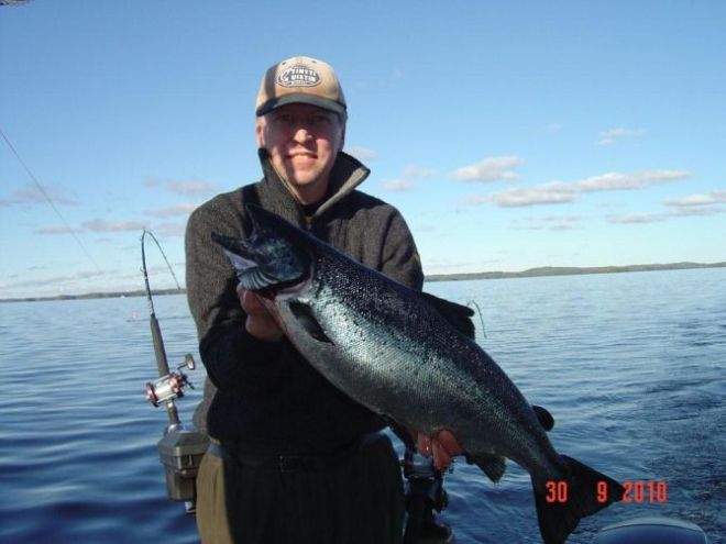 Tintti-Uistimen galleria