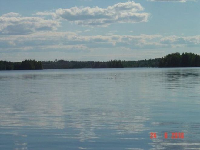 Tintti-Uistimen galleria