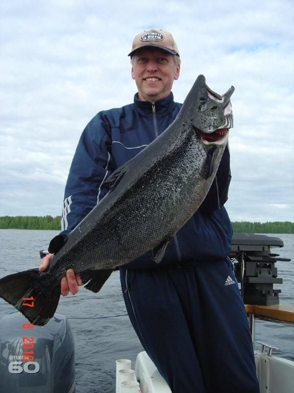 Tintti-Uistimen galleria