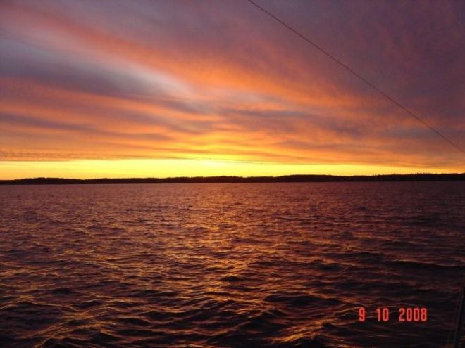 Tintti-Uistimen galleria