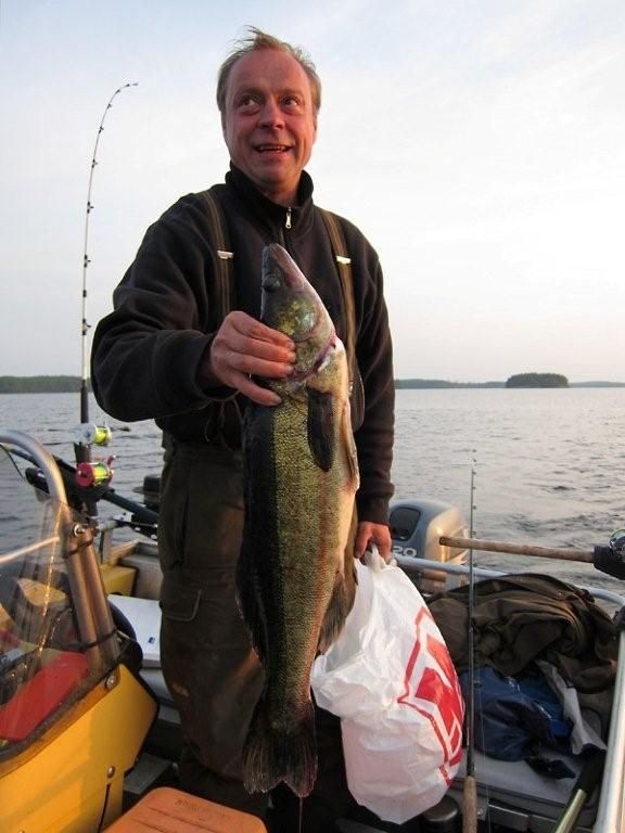 Tintti-Uistimen galleria