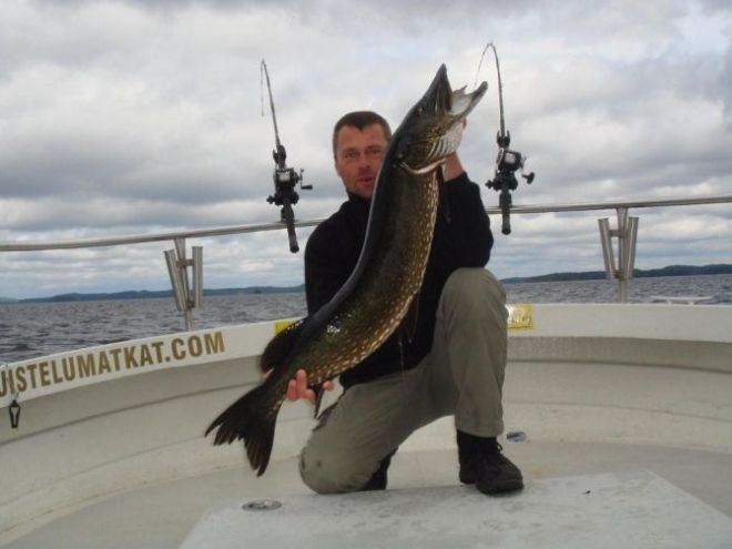 Tintti-Uistimen galleria