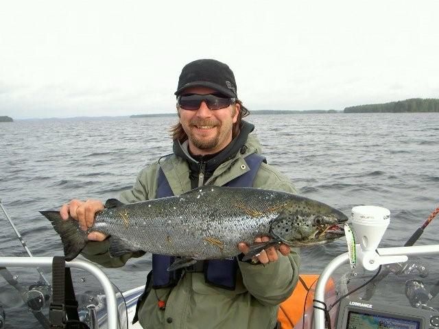 Tintti-Uistimen galleria