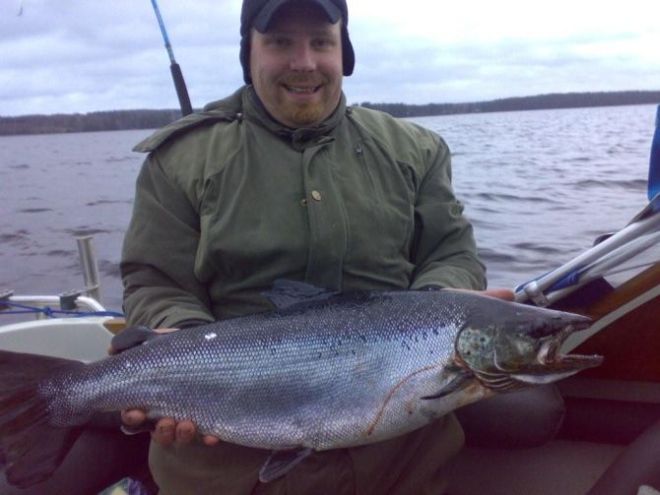 Tintti-Uistimen galleria