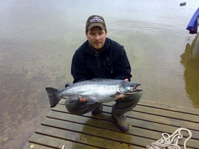 Tintti-Uistimen galleria