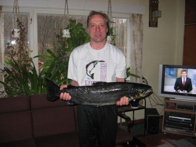 Tintti-Uistimen galleria