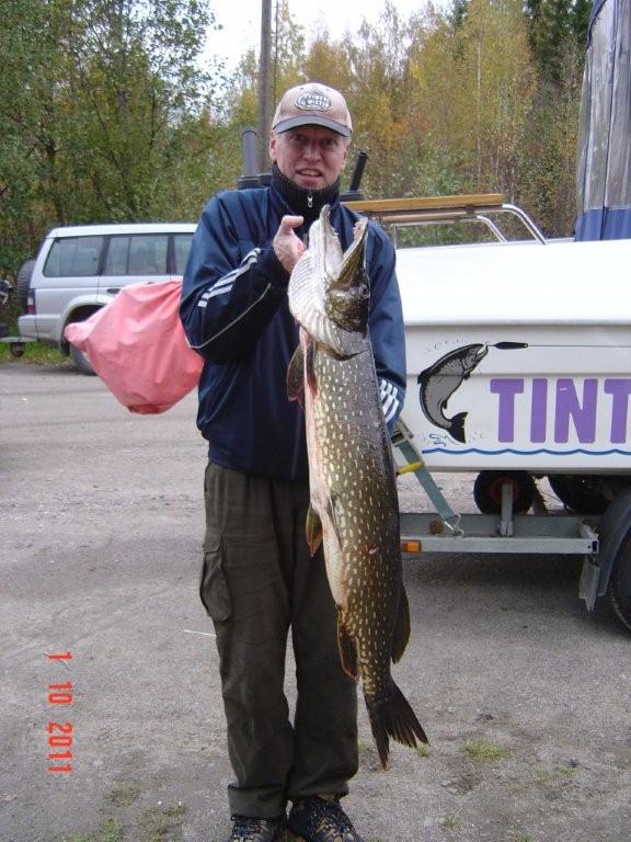 Tintti-Uistimen galleria