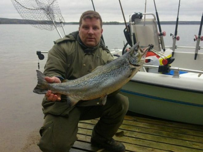 Tintti-Uistimen galleria