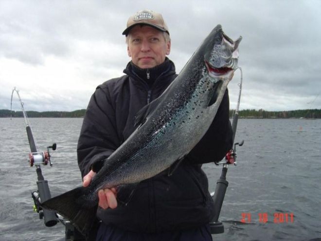 Tintti-Uistimen galleria