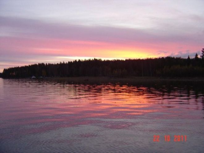 Tintti-Uistimen galleria