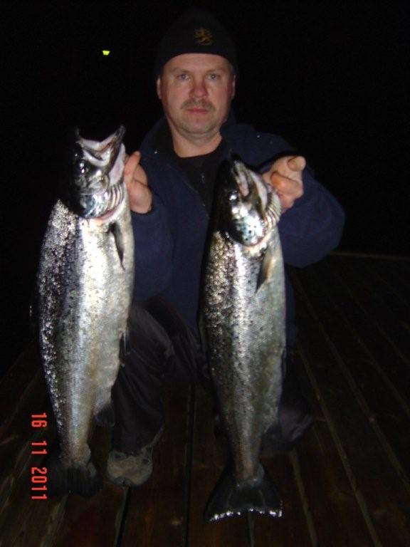 Tintti-Uistimen galleria