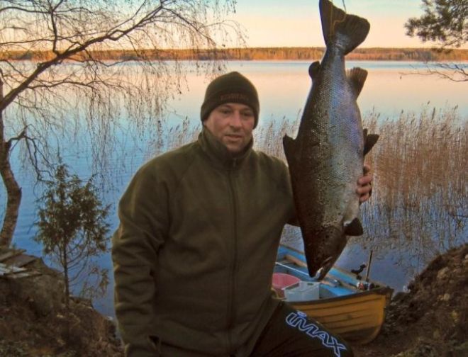 Tintti-Uistimen galleria