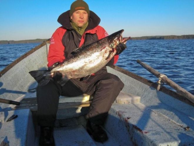 Tintti-Uistimen galleria