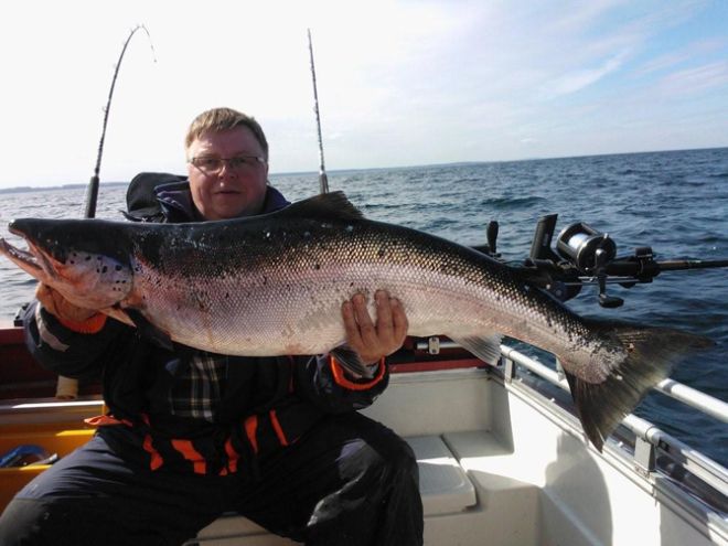 Tintti-Uistimen galleria