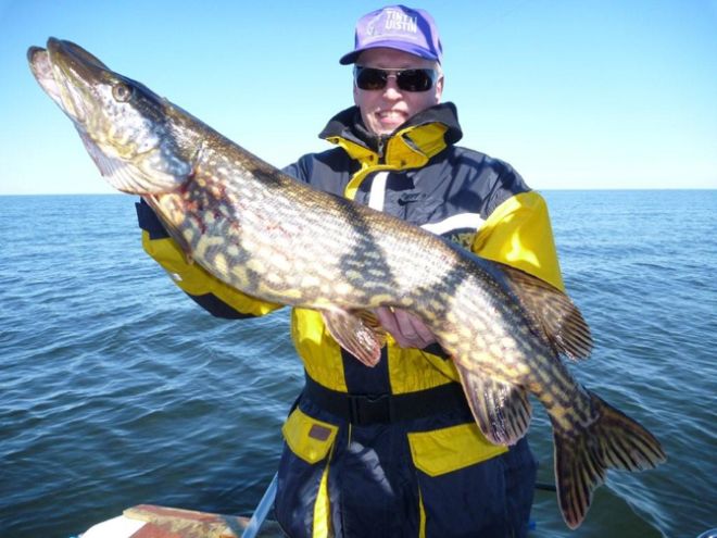 Tintti-Uistimen galleria