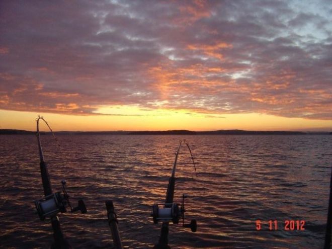 Tintti-Uistimen galleria