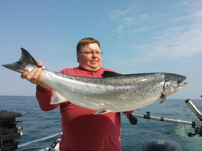 Tintti-Uistimen galleria