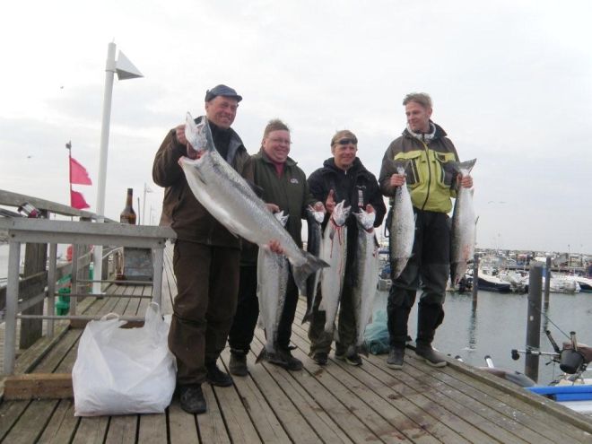 Tintti-Uistimen galleria