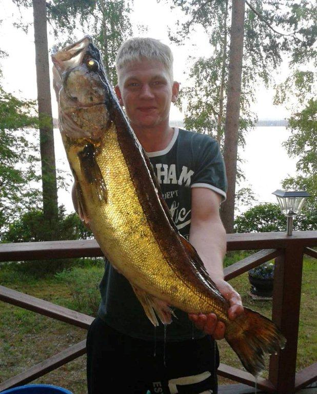 Tintti-Uistimen galleria