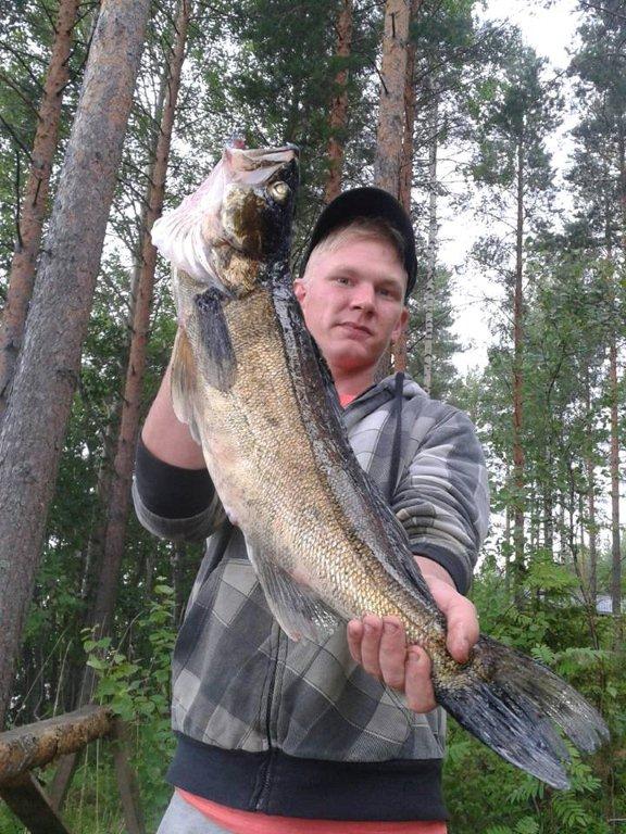 Tintti-Uistimen galleria