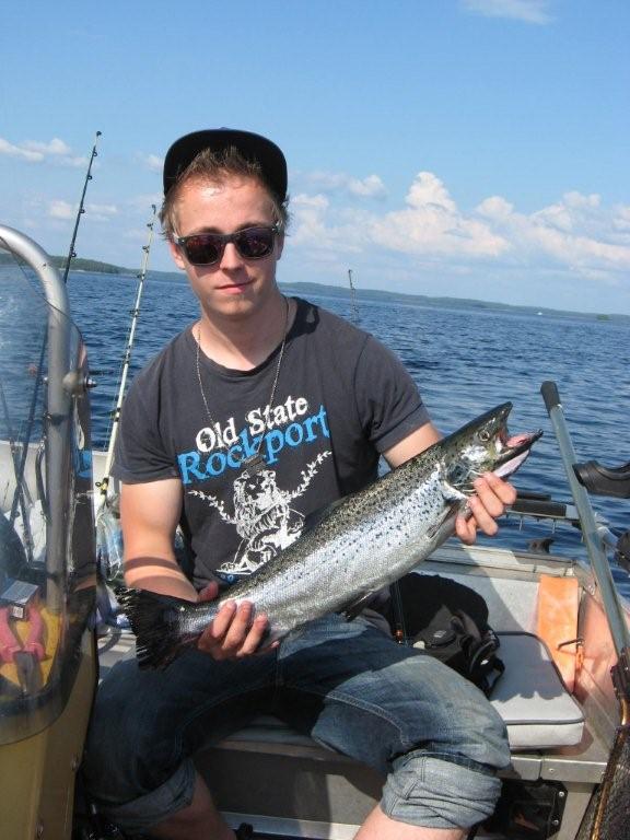 Tintti-Uistimen galleria