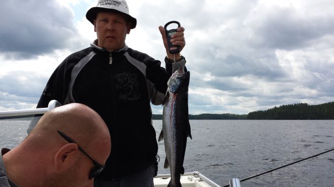 Tintti-Uistimen galleria