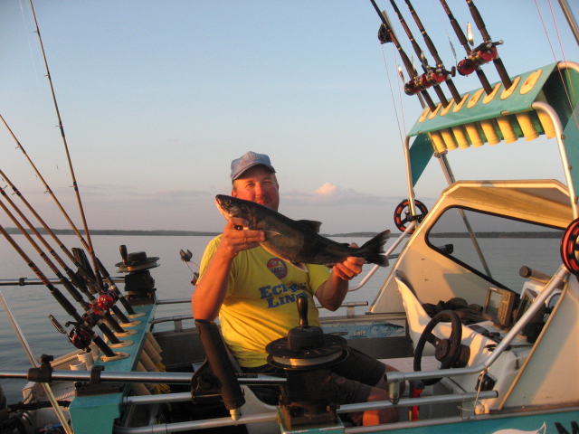 Tintti-Uistimen galleria