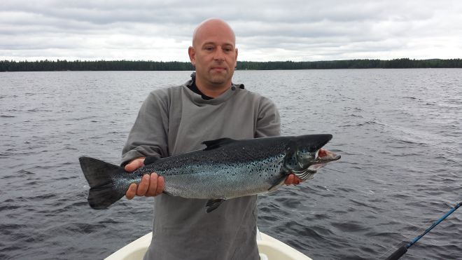 Tintti-Uistimen galleria