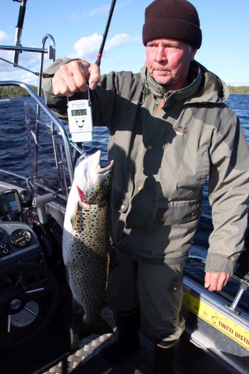 Tintti-Uistimen galleria