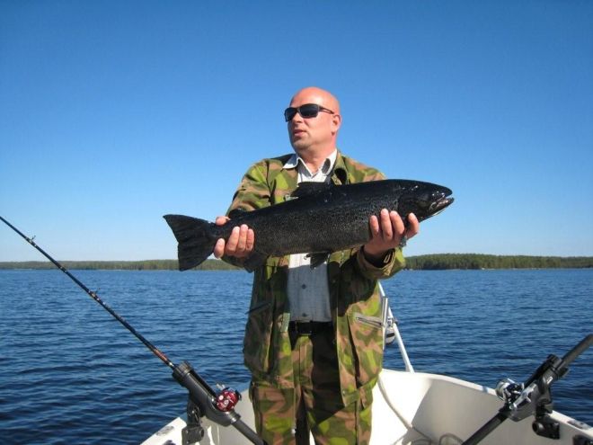 Tintti-Uistimen galleria