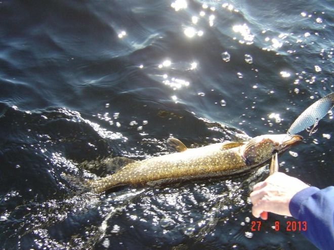 Tintti-Uistimen galleria