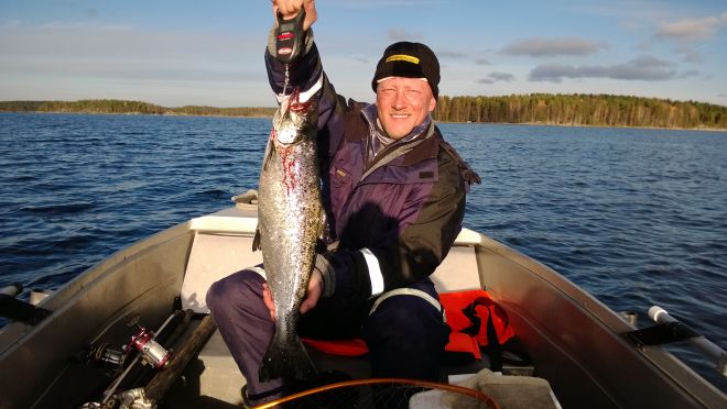 Tintti-Uistimen galleria