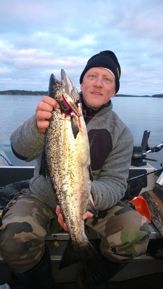 Tintti-Uistimen galleria