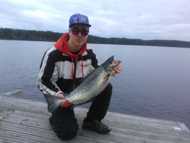 Tintti-Uistimen galleria