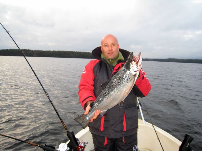 Tintti-Uistimen galleria