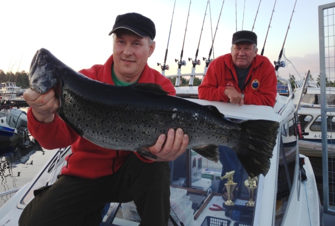 Tintti-Uistimen galleria