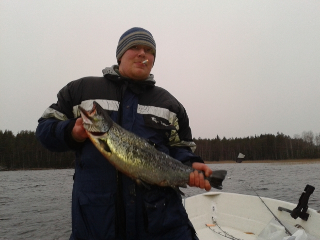 Tintti-Uistimen galleria