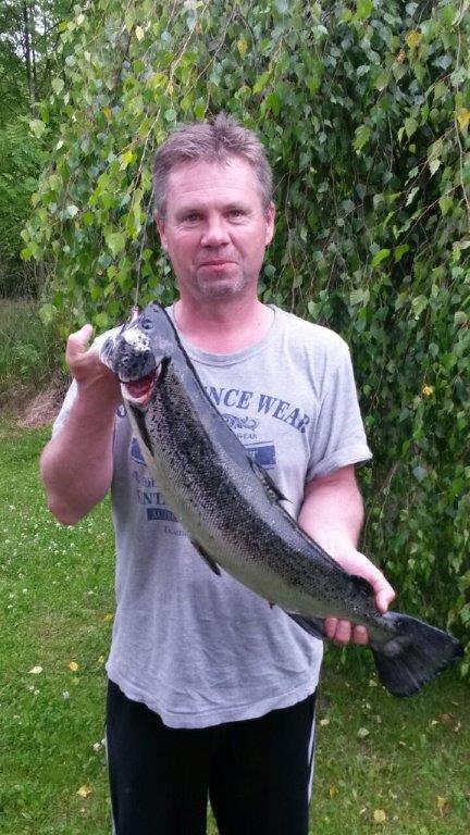 Tintti-Uistimen galleria