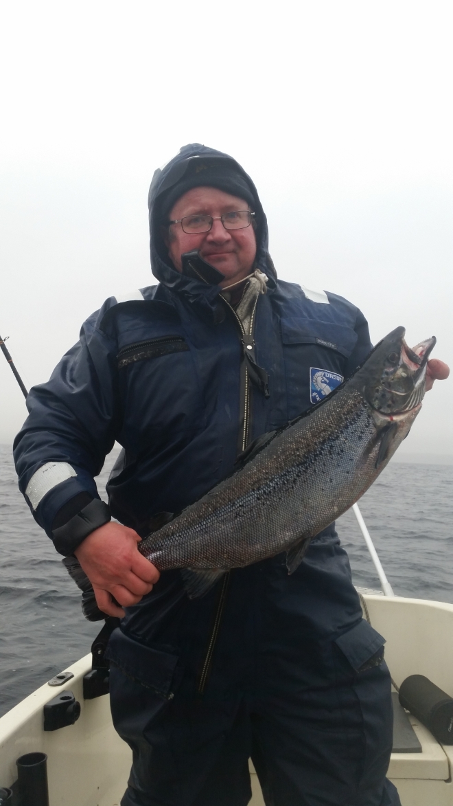 Tintti-Uistimen galleria