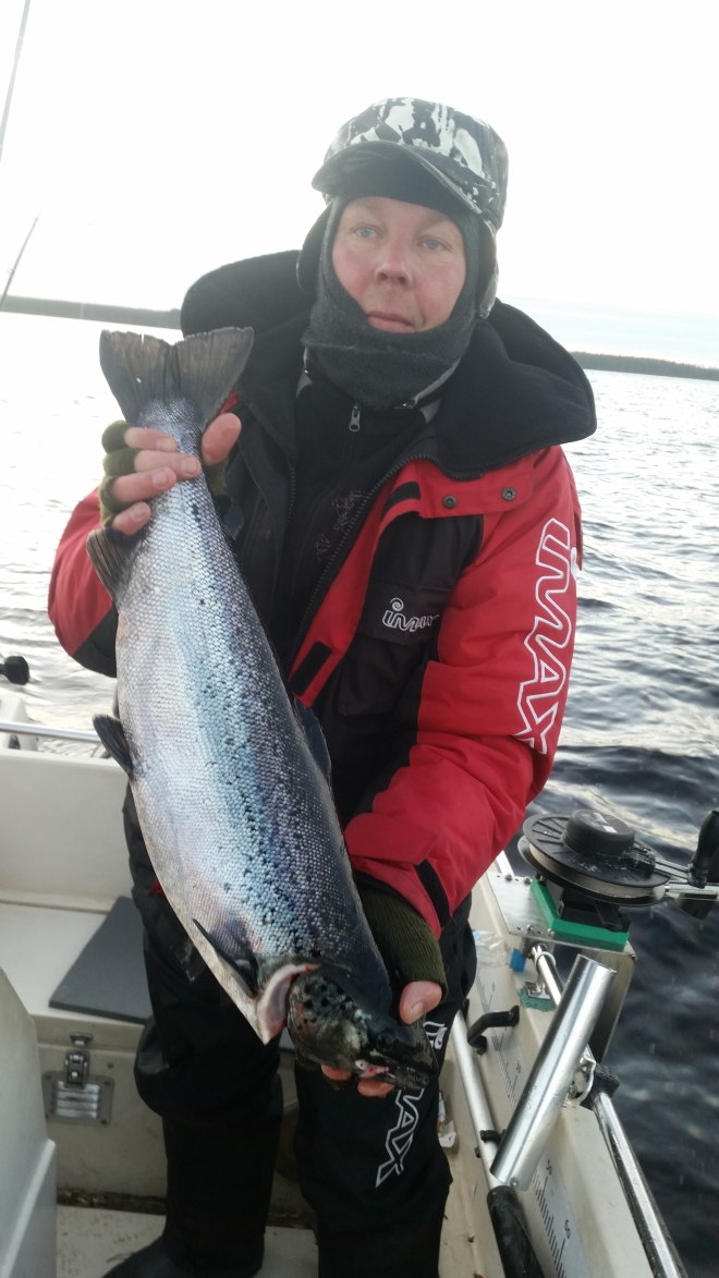 Tintti-Uistimen galleria