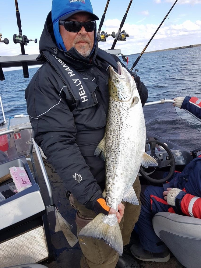 Tintti-Uistimen galleria