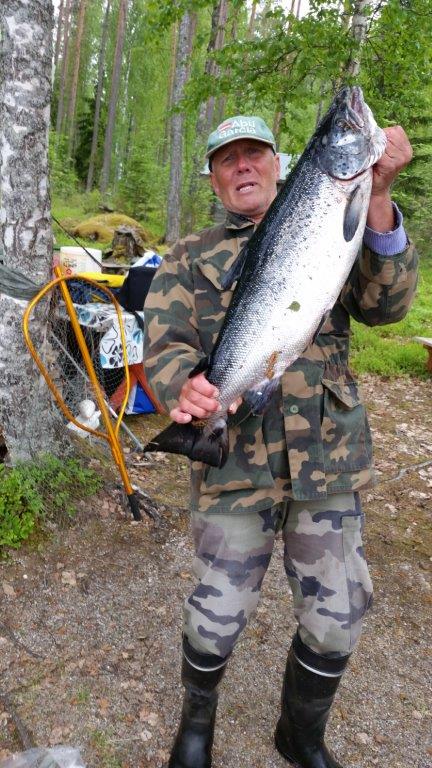 Tintti-Uistimen galleria