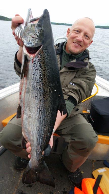 Tintti-Uistimen galleria