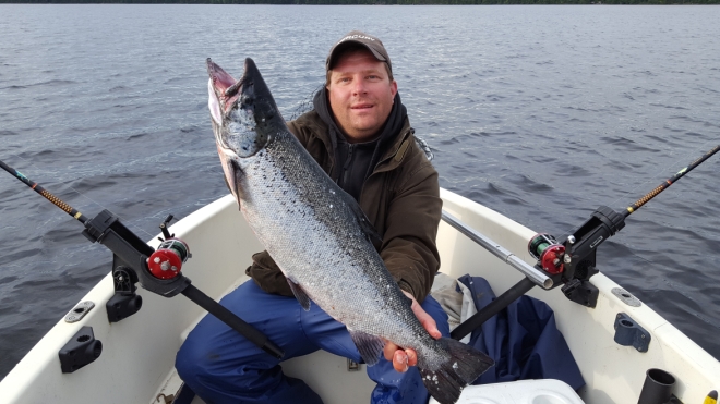 Tintti-Uistimen galleria