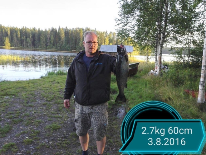 Tintti-Uistimen galleria