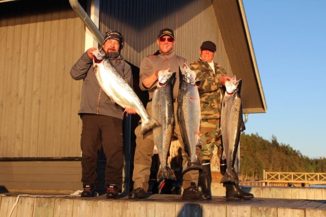 Tintti-Uistimen galleria