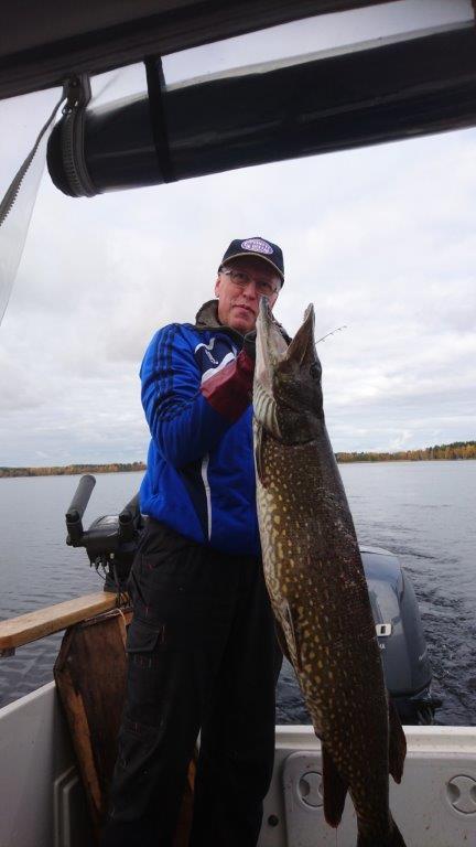 Tintti-Uistimen galleria