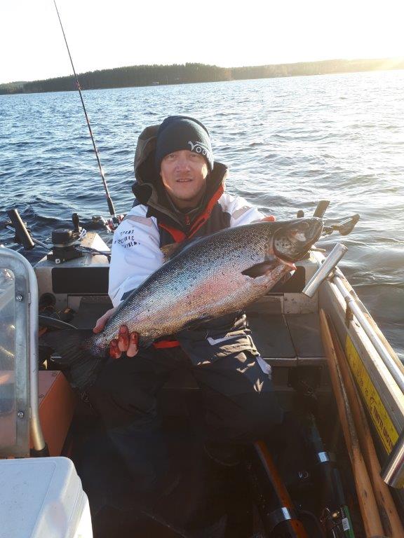 Tintti-Uistimen galleria