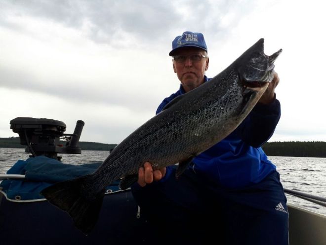 Tintti-Uistimen galleria