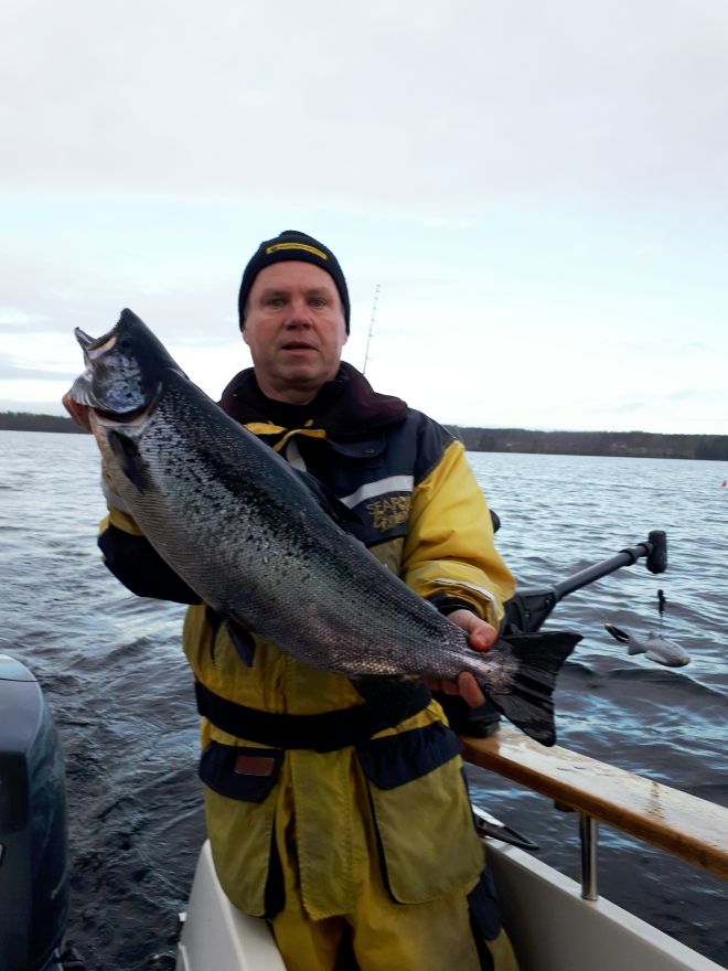 Tintti-Uistimen galleria